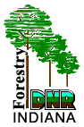 in_forestry